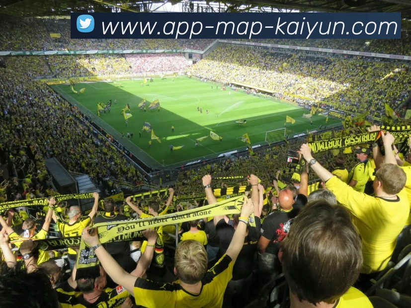 App Interface Preview