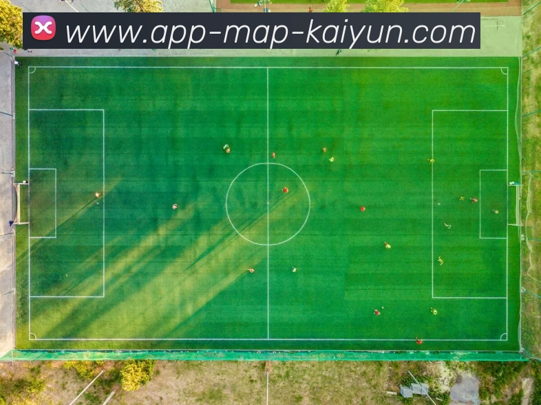 开云appAPP 封面图